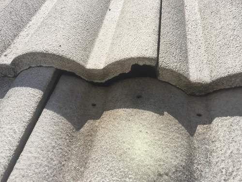 Asheville Rodent Proof Barrel Tile Roofs 