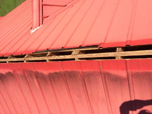 Rodent Proof Metal Roofs in Asheville