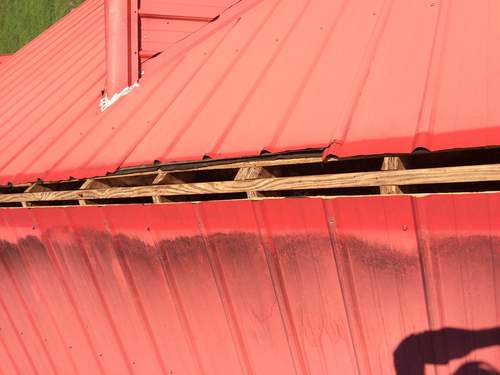 Rodent Proof Metal Roofs in Charleston