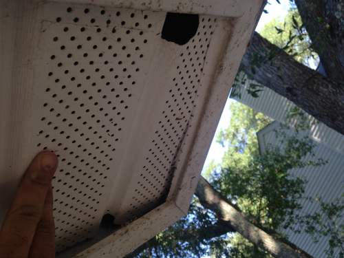 Rodent Proof Soffit Openings in Chattanooga