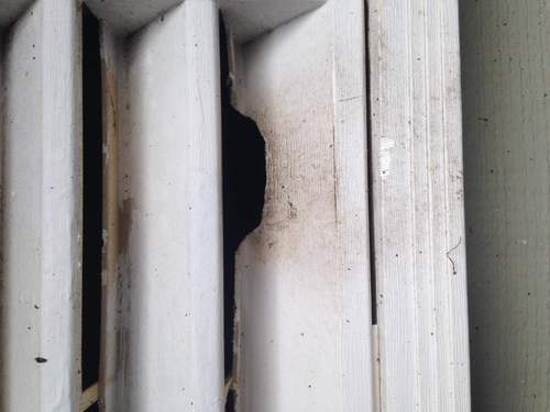 Rodent Proof Attic Vents in Cincinnati