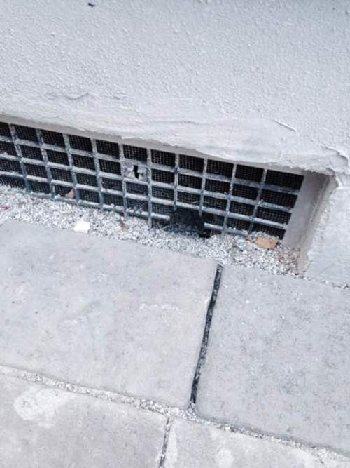 Rodent proof breezeway vents in Las Vegas