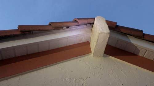 Bats Under Barrel Tile Roofs in Las Vegas