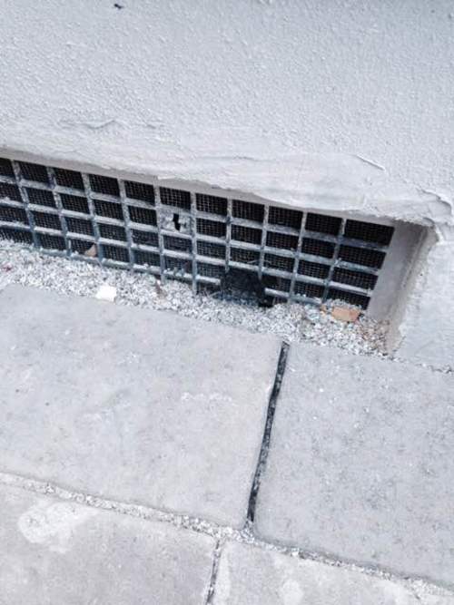 Rodent proof breezeway vents in Miami
