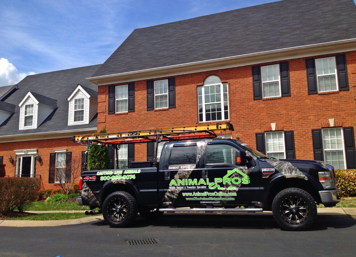 Nashville Wildlife Removal & Wildlife Control Services
