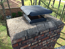 bird chimney cap