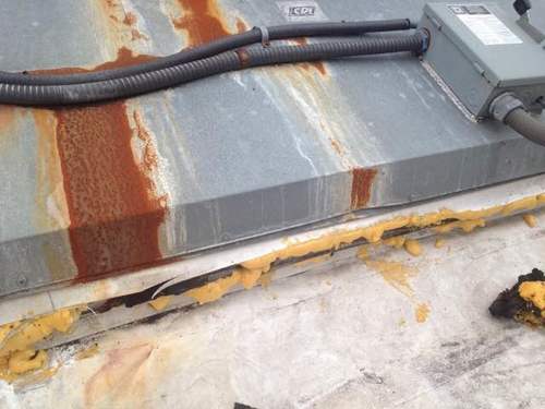Sarasota Rodent Proof Metal Roofs