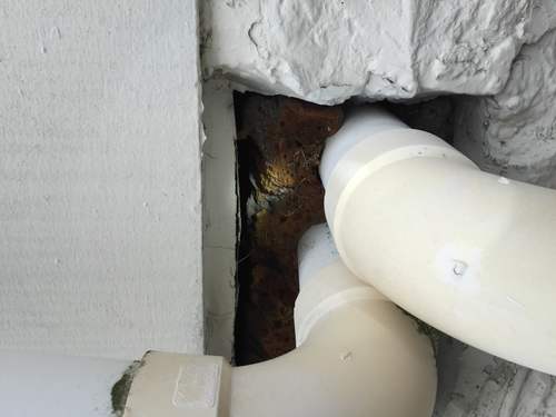 Repair rodent openings in Charleston