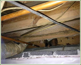 crawl space and attic restoration