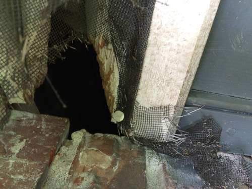Rodent Proof Window Dormers in Memphis