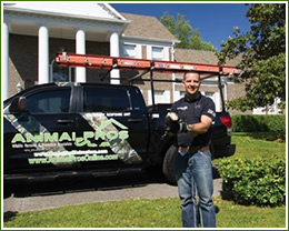 Myrtle Beach 24/7 Wildlife Control Pest Animal Removal Services