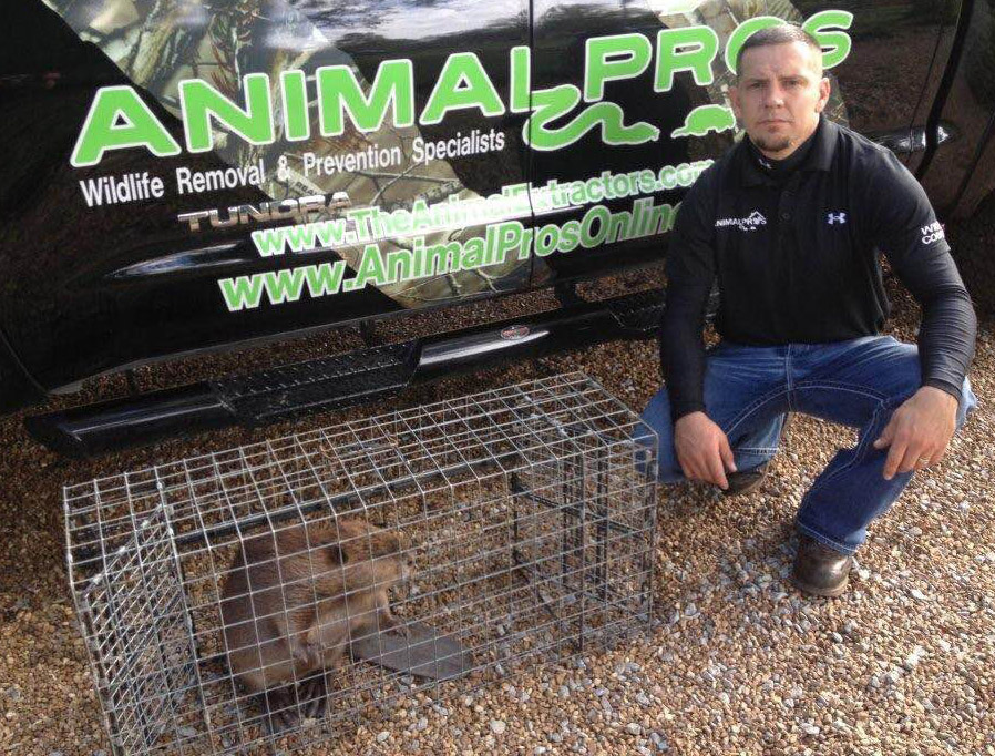 Humane Beaver Trapping Reminder