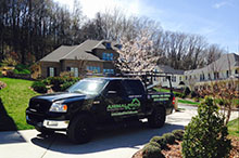 residential animal removal
