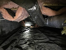 crawlspace damage